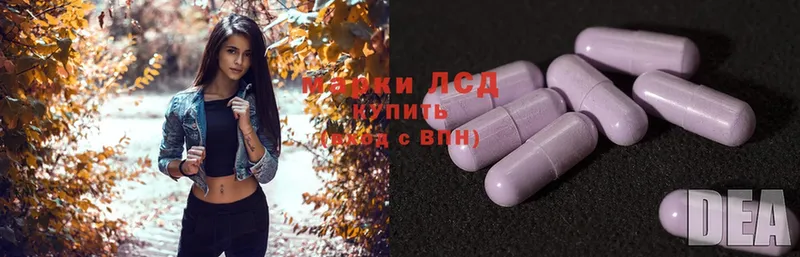 дарнет шоп  Черногорск  Лсд 25 экстази ecstasy 